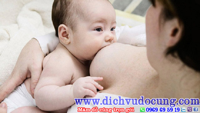 Bé dưới 6 tháng tuổi chỉ cần bú sữa mẹ, bởi trong sữa mẹ đã có đầy đủ chất dinh dưỡng và nước cần thiết cho bé. 