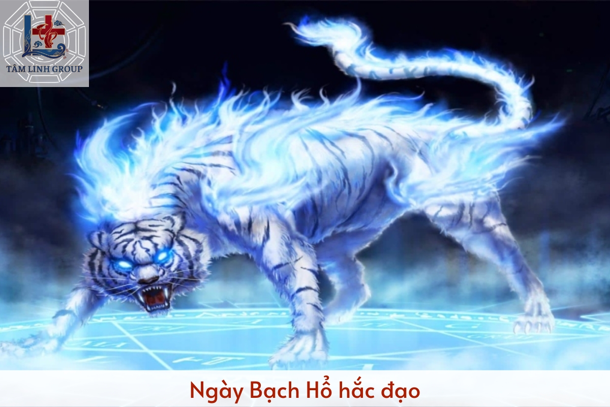 Ngày bạch hổ hắc đạo là gì