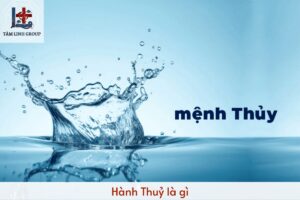 Hành Thuỷ là gì