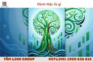 Hành mộc là gì