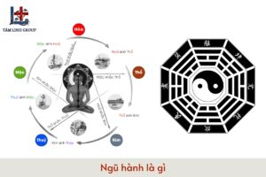 Ngũ hành là gì