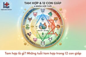 Tam hợp là gì Những tuổi tam hợp trong 12 con giáp